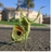 VencGirl's profile image