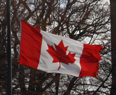 nelsonhart's profile picture. works with @discgarden