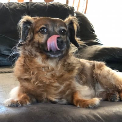 tomdinla's profile picture. Englishman in Los Angeles, also lived in Tokyo for most of the 90s. Embedded RTOS and DSP engineer at 🍎