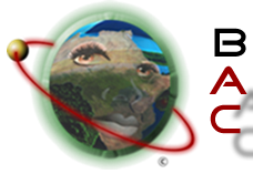 BlackArtistCol's profile picture. A network of black visual Artists that allows members to post art, events, commissions, forums, sell art, est. And Enjoy Art 24 hrs a Day!