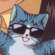 CNDYさんのプロフィール画像