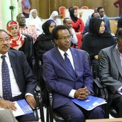 Prof Hussein Warsame