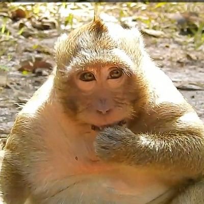 無言フォローすみません。
暫く放置民。
