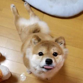 akasa1995's profile picture. 社会人です。男　神奈川に住んでます。