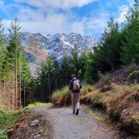 Chris (@cdhay) 's Twitter Profile