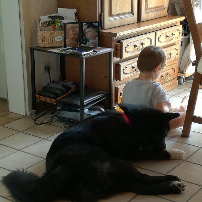 darotiers's profile picture. Je suis née en 1943 et je suis une grande fan de Justine Henin et de son magnifique jeu, mais je m'intéresse également au tennis belge et au sport en général.