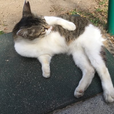 koge_sunao's profile picture. 計測ツール・タグマネ・BIツールの設定・活用や分析を担当。サイト制作/ネット広告/GAを勉強中です。