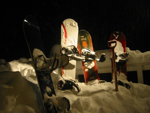 EENHO's profile picture. 