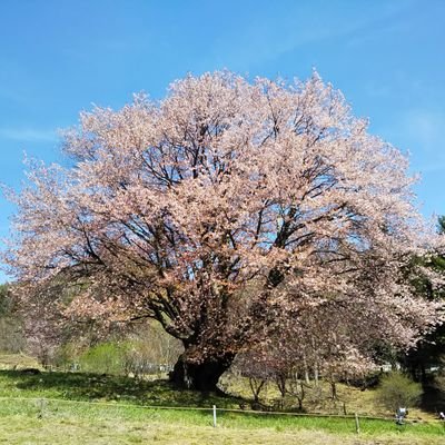 元警察官 ジョニーk ブラック企業2年目フォークマン Jo2no8 Gmo Twitter 元警察官 ジョニーk ブラック企業2年目フォークマン Jo2no8 Gmo Twitter