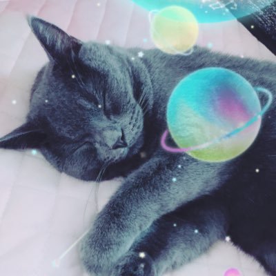 あずきでござるさんのプロフィール画像