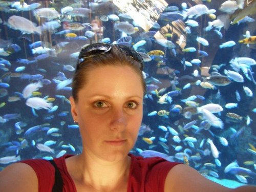 SandraCharm's profile picture. The ramblings of a madwoman. (Personal non-real-estate-related Twitter account. If you are in the real estate industry, please follow @RoyalSandra instead!)