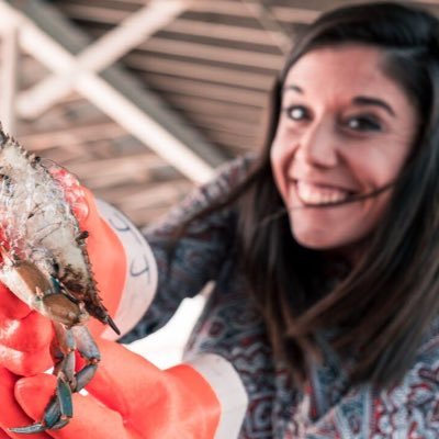 KatieZarrilli's profile picture. Field Correspondent - DelmarvaLife, WBOC🎥 Mainer. Soccer Coach. Born with too much energy and the gummiest smile.