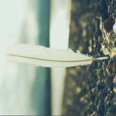 pionAbraham's profile picture. 