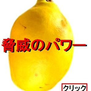 quince@かりんりんさんのプロフィール画像
