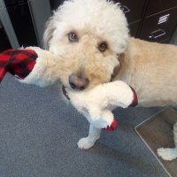 Rocco Marcantonio (@3dfishworld) 's Twitter Profile Photo Rocco Marcantonio (@3dfishworld) 's Twitter Profile Photo