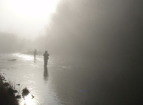 flyfish247's profile picture. 