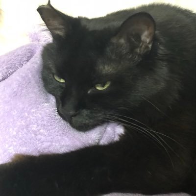 Gaw なんか出やがったwww Kthelostking モバk 御芍神紫 みしゃくじゆかり K Http T Co V1jjuzjpti Gaw なんか出やがったwww Kthelostking モバk 御芍神紫 みしゃくじゆかり K Http T Co V1jjuzjpti