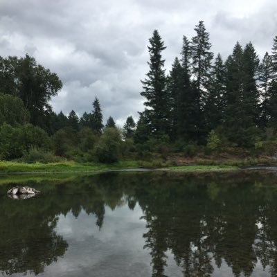 bethanyquilt's profile picture. 