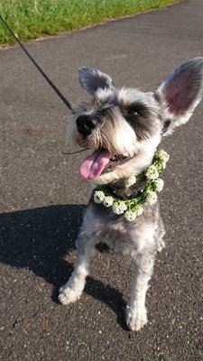 JnPtAXGUAvDp6bs's profile picture. JUNON多めRYOKIやMANATOも💜でも7人みんな大好き💕スタグロもFC入会アキテク民💜みんなよろーーー