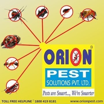 Orion Pest Solutions Pvt. Ltd