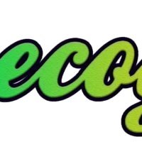 Ecogle India is aimed to bring to you eco-friendly and biodegradable products to you for all aspects of daily needs.