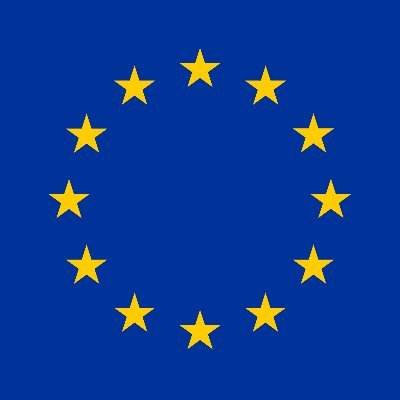 La Mission d'observation électorale de l'UE a été déployée du 23 août au 17 novembre 2019 pour les élections présidentielle et législatives en Tunisie.