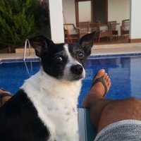 Gökhan (@gkhan94734460) 's Twitter Profile Photo Gökhan (@gkhan94734460) 's Twitter Profile Photo