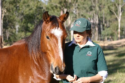 MSc Equine Grazing Behaviour/author/speaker, I teach HORSE OWNERS to manage land for increased biodiversity, benefiting horses, people & the wider environment.