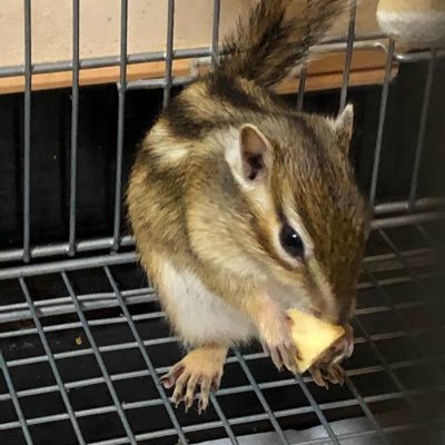 レトアさんのプロフィール画像