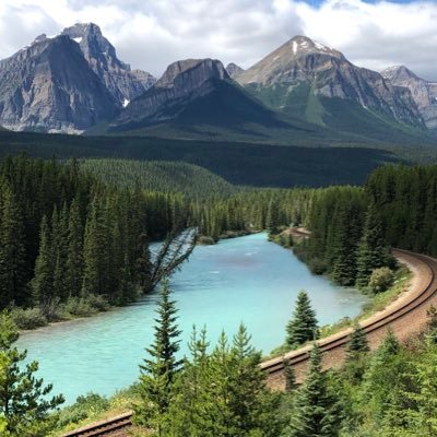 BetsyMastrocola's profile picture.