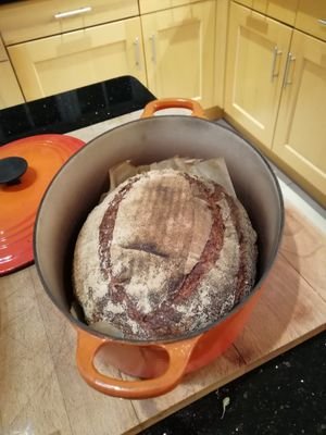 pickynops's profile picture. Catholic wife/mother