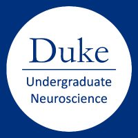 Duke Undergraduate Neuroscience(@DukeNeuroMajor) 's Twitter Profile Photo