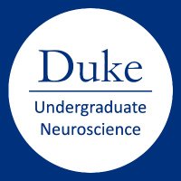 Duke Undergraduate Neuroscience (@dukeneuromajor) 's Twitter Profile Photo Duke Undergraduate Neuroscience (@dukeneuromajor) 's Twitter Profile Photo