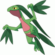 I live in dense jungles. While closing in on my prey, I leap from branch to branch.