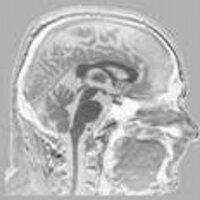 Paul Shepherd (@shepherdpg) 's Twitter Profile Photo