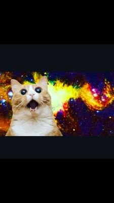 DaviMoreiraRuf1's profile picture. Mó preguiça