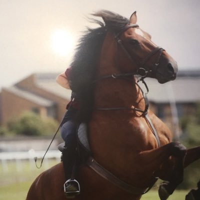 LCrunchie's profile picture. 