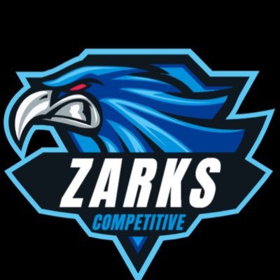 Team Zarks
 
Team competitivo