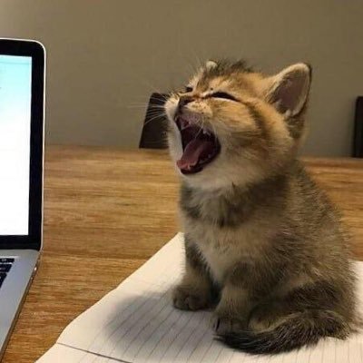 DK19494's profile picture. I like to play games