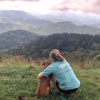 Amy Steller Jones (@amysteller) 's Twitter Profile