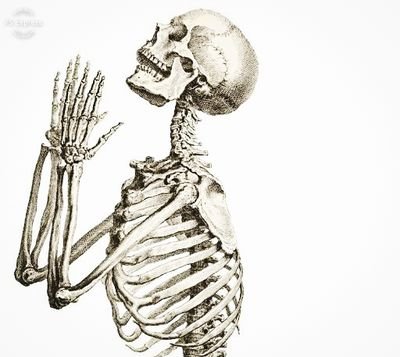 DavidMu85316826's profile picture. Seeking The Middle Way.

The Polarized Opposites are tearing our Culture apart.

Find me in Lotus in The Center.

There is No God higher then Truth.