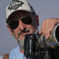 Guillermo Martín Cejas (@fotoscejas) 's Twitter Profile