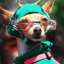 Jacqui Gray - @Jackskins - Twitter