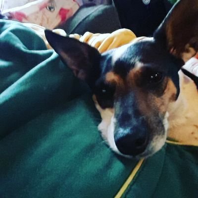 PaperRings03's profile picture. I'm Tiffany. 2016 made me realize how precious life is. Go Pack Go!! I adore all things #taylorswift