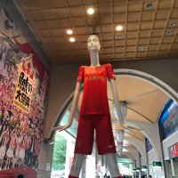 三河魂 next→広島戦 (@mikawa_spr_ngy) 's Twitter Profile