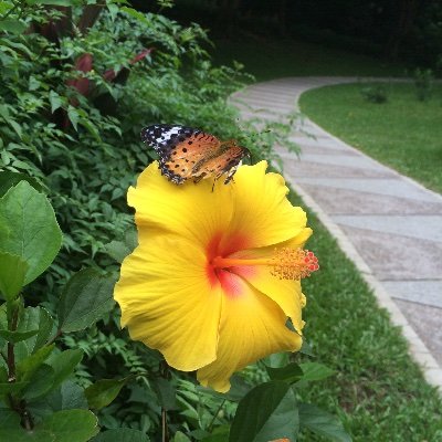 SPozpNc91ARmEW6's profile picture. smart enough，sometimes emotional