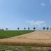@qr11376207