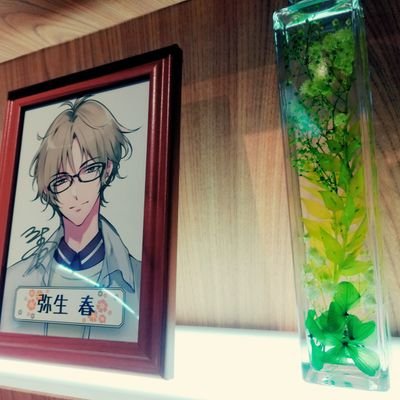 藍莉さんのプロフィール画像