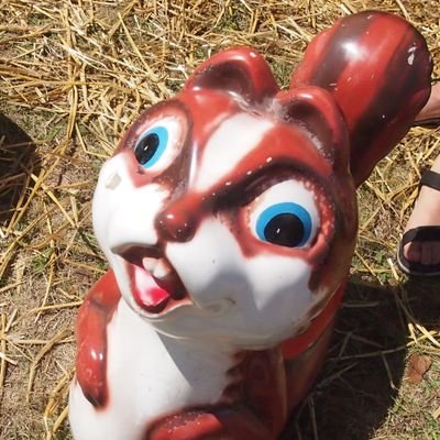 いつも眠い人。お笑いとラジオと音楽とスポーツとお酒がすきです。広島東洋カープを応援しています。SUPER EIGHTERです。本当は毎日ビールとドーナツで過ごしたいし、ナイター見たい。🍺🍩🎏⚾️∞🩵