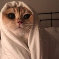 robert.gonzo (@mahdya423) 's Twitter Profile